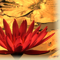 Bild Anwendungsbeispiel